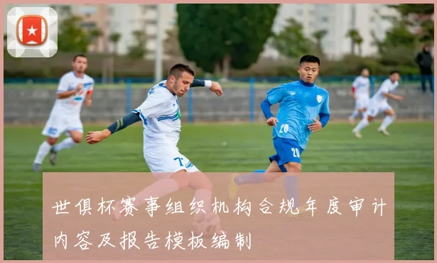 世俱杯赛事组织机构合规年度审计内容及报告模板编制