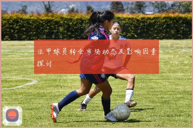 法甲球员转会市场动态及影响因素探讨