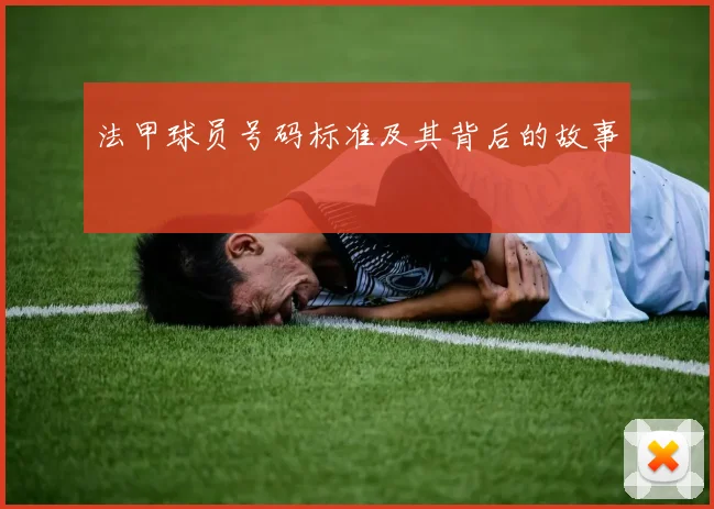 法甲球员号码标准及其背后的故事