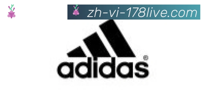 178体育直播合作伙伴